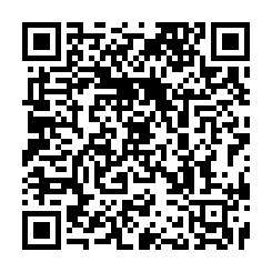 燕巢低總價天車工業廠房售-QR CODE