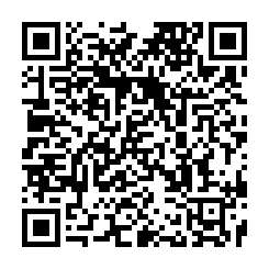 台南永康低總價天車工業廠房售-QR CODE