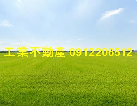高雄大寮農地-0